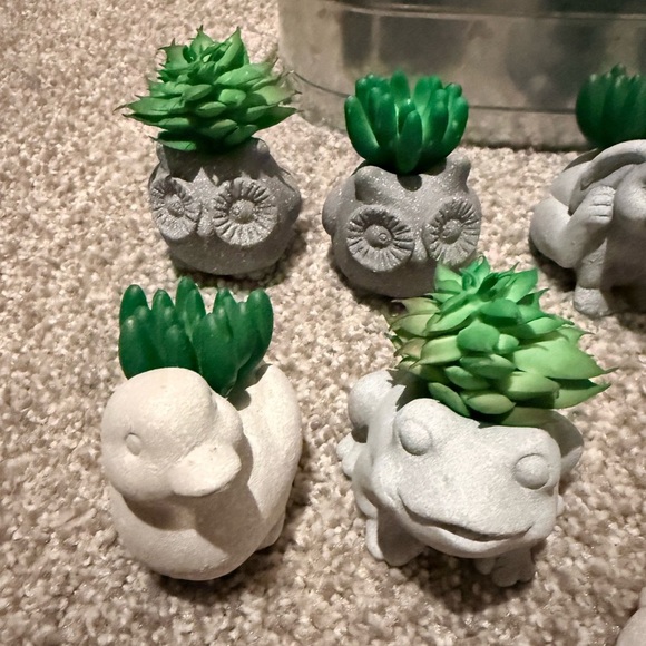 Gray and White Animal Succulent Planters - Picture 7 of 7